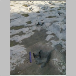 100_0305 (2009-25-07).JPG